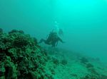 Hawaii Scuba divng 73