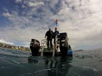 Hawaii Scuba divng 74