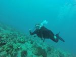 Hawaii Scuba divng 75