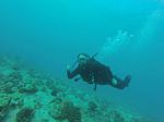 Hawaii Scuba divng 76