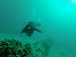 Hawaii Scuba divng 83