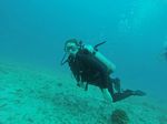 Hawaii Scuba divng 84