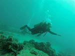 Hawaii Scuba divng 86