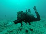 Hawaii Scuba divng 87