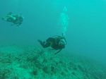 Hawaii Scuba divng 89