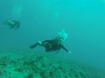 Hawaii Scuba divng 90