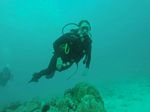 Hawaii Scuba divng 92