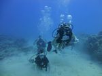 Hawaii Scuba divng 12