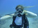 Hawaii Scuba divng 15