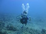 Hawaii Scuba divng 18