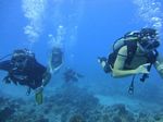 Hawaii Scuba divng 21