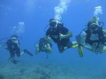 Hawaii Scuba divng 22