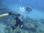 Hawaii Scuba divng 24