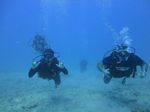 Hawaii Scuba divng 33