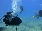 Hawaii Scuba divng 34