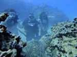 Hawaii Scuba divng 39