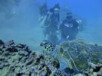 Hawaii Scuba divng 40