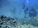 Hawaii Scuba divng 41