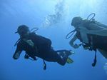 Hawaii Scuba divng 42