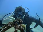 Hawaii Scuba divng 46