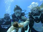 Hawaii Scuba divng 56