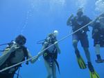 Hawaii Scuba divng 09