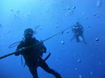 Hawaii Scuba divng 10