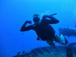 Hawaii Scuba divng 14