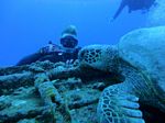 Hawaii Scuba divng 18