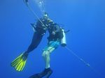 Hawaii Scuba divng 28