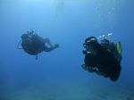 Hawaii Scuba divng 42