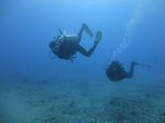 Hawaii Scuba divng 48