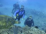 Hawaii Scuba divng 51