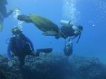 Hawaii Scuba divng 53