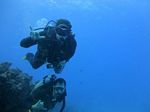 Hawaii Scuba divng 56