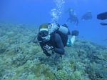 Hawaii Scuba divng 60