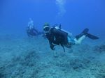 Hawaii Scuba divng 61