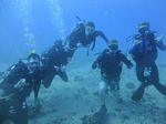 Hawaii Scuba divng 62