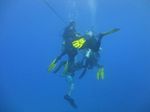 Hawaii Scuba divng 63