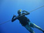 Hawaii Scuba divng 06