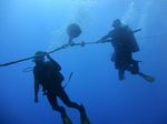 Hawaii Scuba divng 09