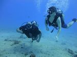 Hawaii Scuba divng 10