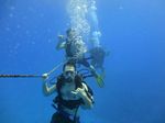 Hawaii Scuba divng 11