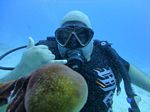 Hawaii Scuba divng 16