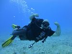 Hawaii Scuba divng 22