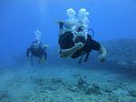 Hawaii Scuba divng 29