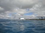 Hawaii Scuba divng 02