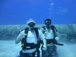 Hawaii Scuba divng 10