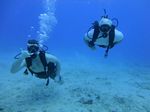 Hawaii Scuba divng 12