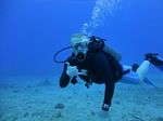 Hawaii Scuba divng 13